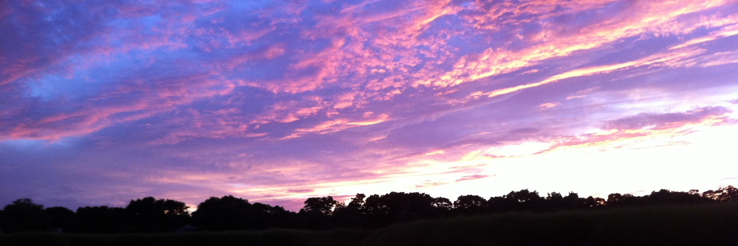 Courtney Trudeau banner