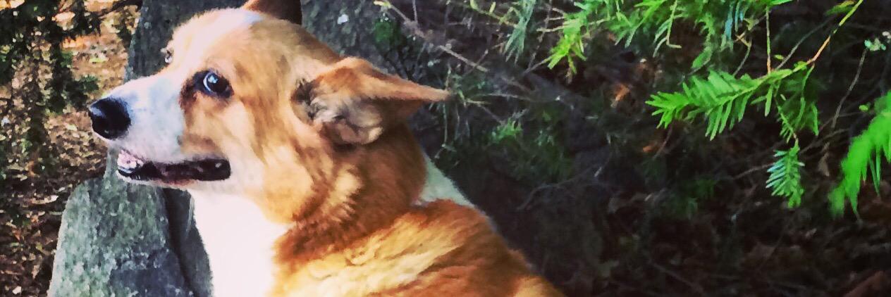RealSteve_E's profile banner image