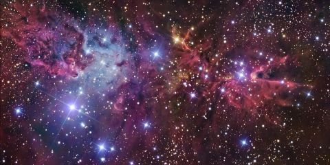 Lovely_Roseeee's profile banner image