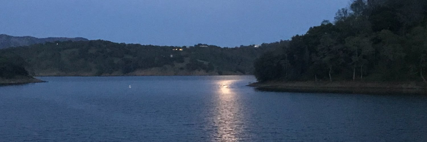 Renee Gonzales banner