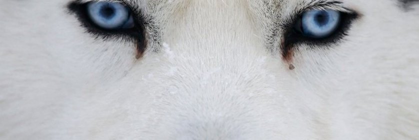 WehnerDavid's profile banner image