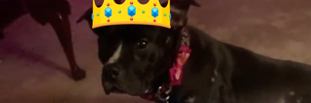 Lieutenant Arwen🧡 banner