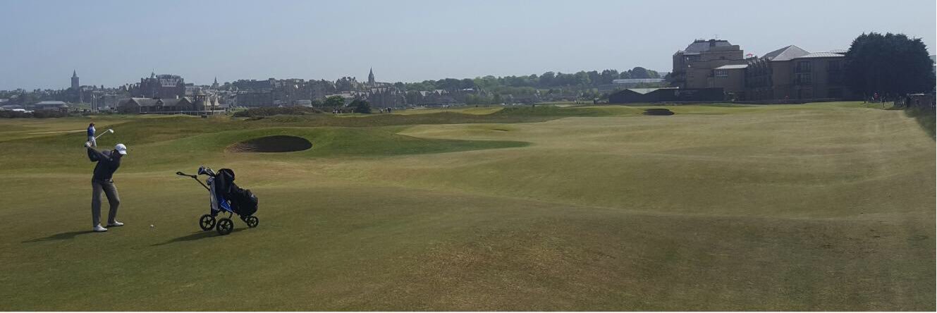 David Micheluzzi banner