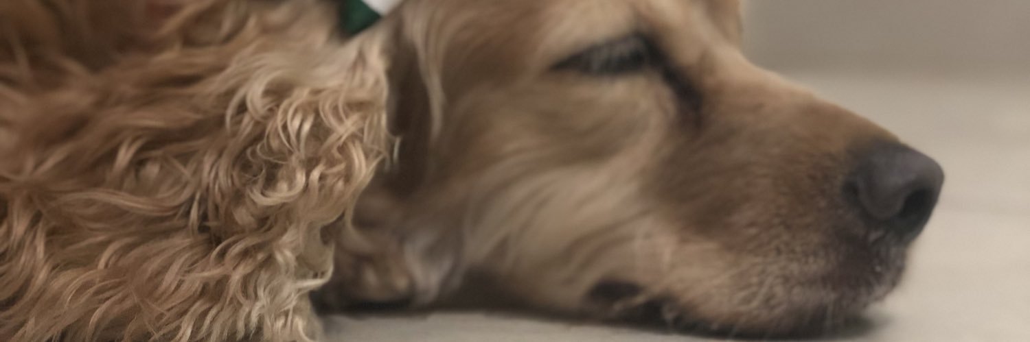 AlexMarsCA's profile banner image