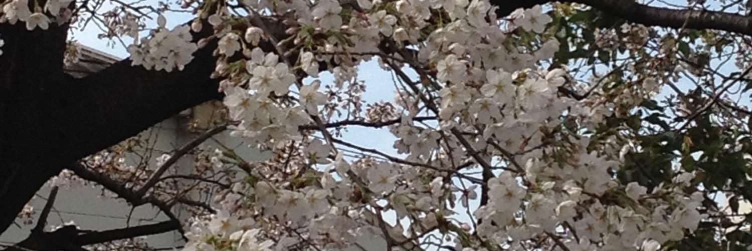yutak73's profile banner image