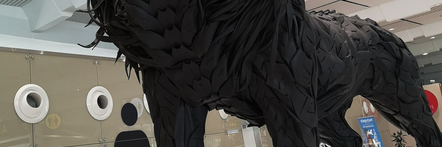 HardBull70's profile banner image
