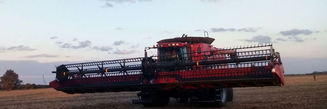 franbruniSL's profile banner image
