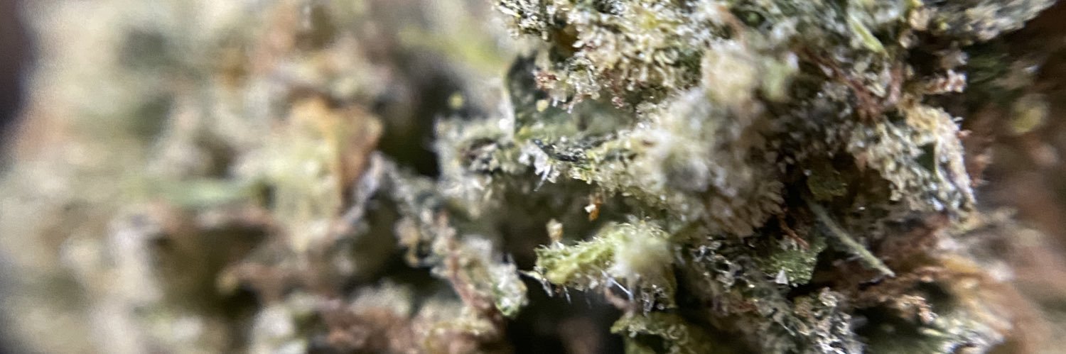 highimhungryy's profile banner image