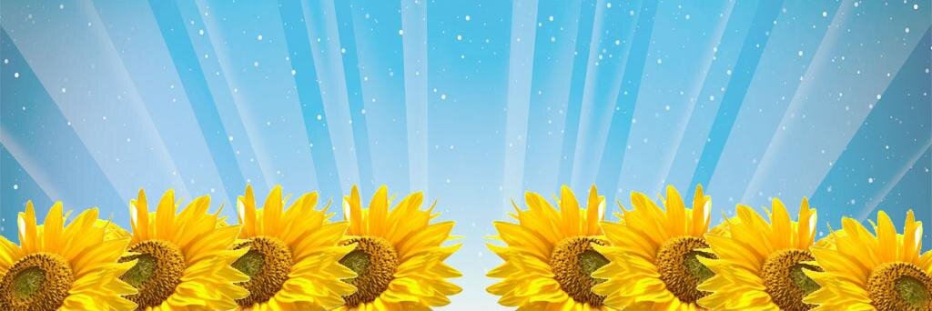 itslakshmic's profile banner image