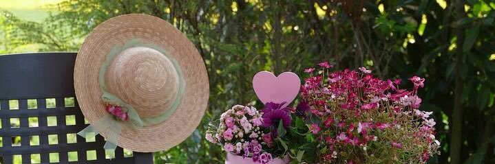 Carol Anne Posey banner