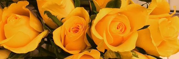 MrsGates91 Profile Banner