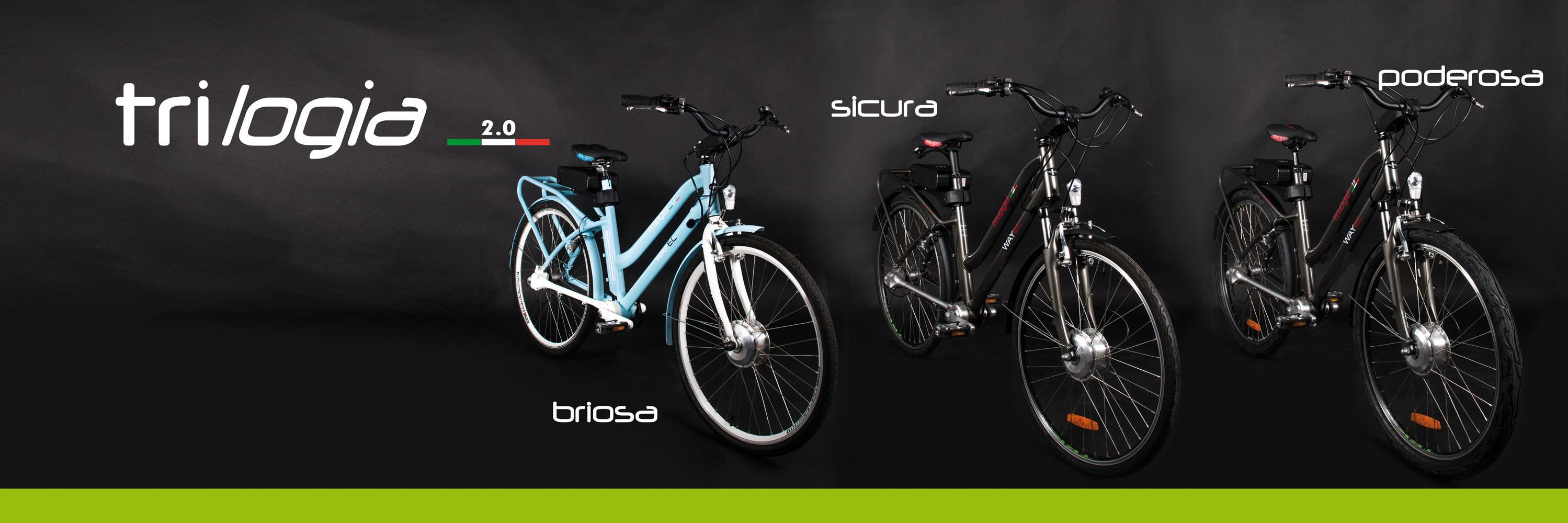 Wayel electric bikes (@wayel_ebikes) / Posts / X