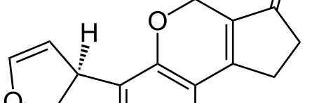 PJacksonVICAM's profile banner image