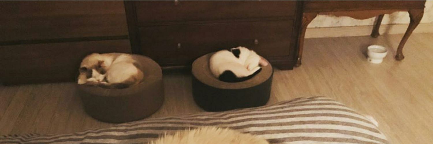 파이 ᴘɪᴇ banner