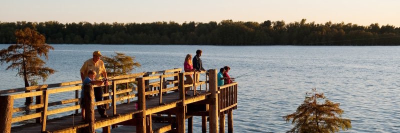 AR Prostate Cancer Foundation banner