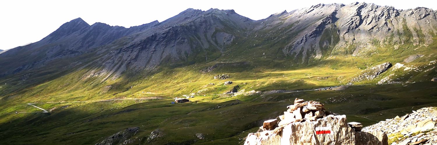 Matthaüs banner