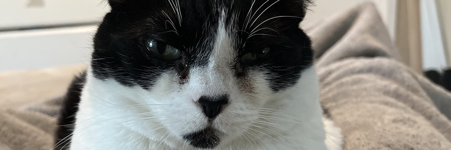 RileyUnanue's profile banner image
