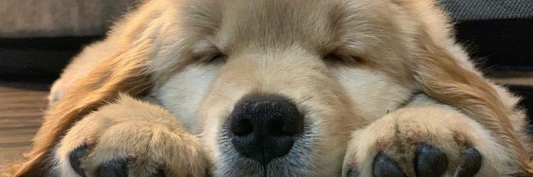 _good__omen_'s profile banner image