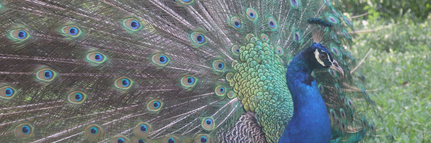 GClaireC's profile banner image