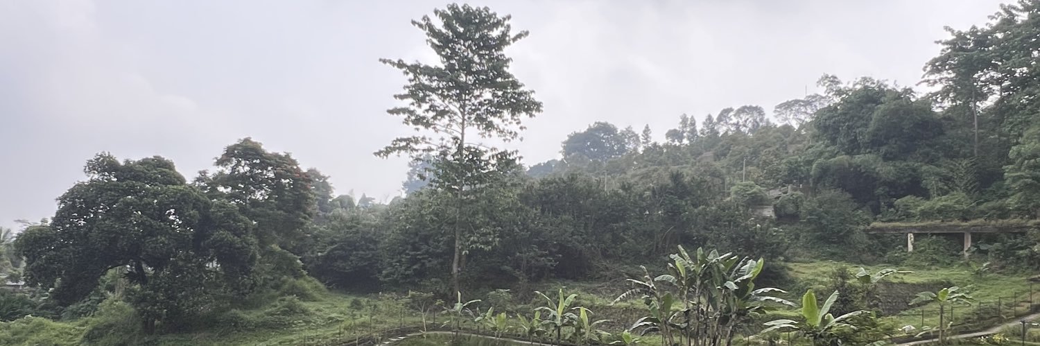 itshadik's profile banner image