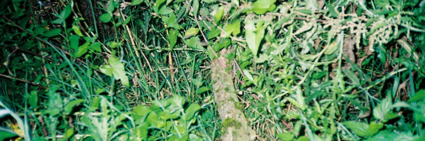 au_zit's profile banner image