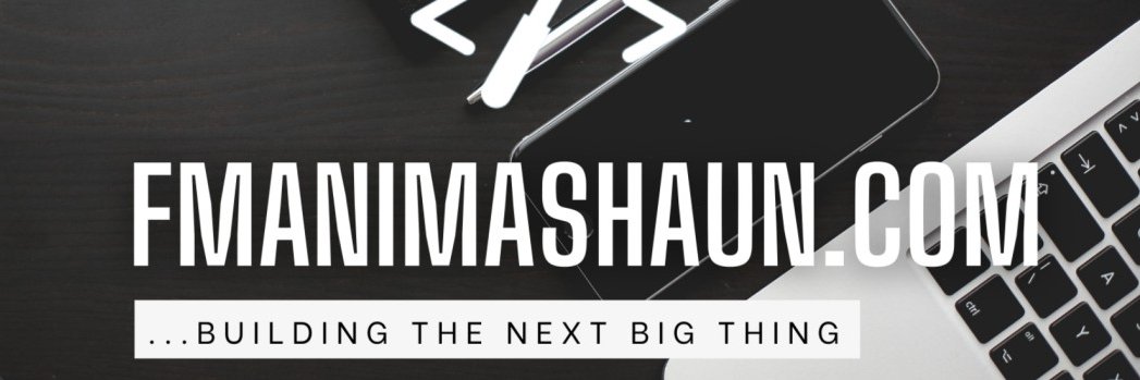 Engr. Animashaun F.M (CFM, FMP, MNSE, COREN) banner