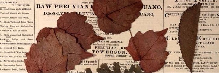 ChtoToStrannoe's profile banner image