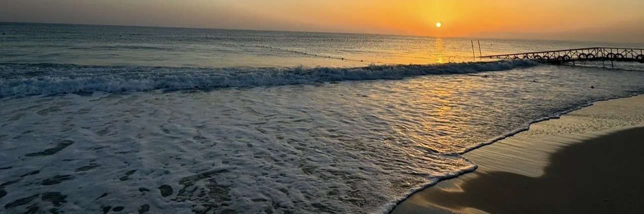 talahbur's profile banner image