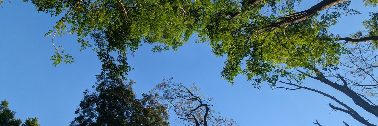 ashokakhd's profile banner image