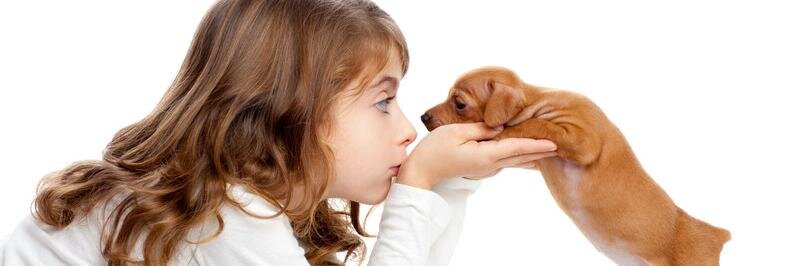 DifferentDogs's profile banner image