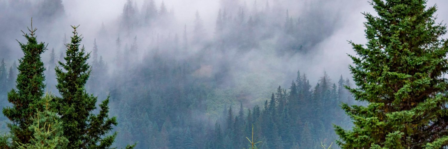 craftnotkraft's profile banner image