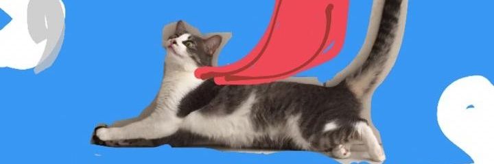rodluc_'s profile banner image