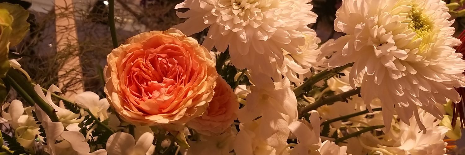 BSTalive's profile banner image