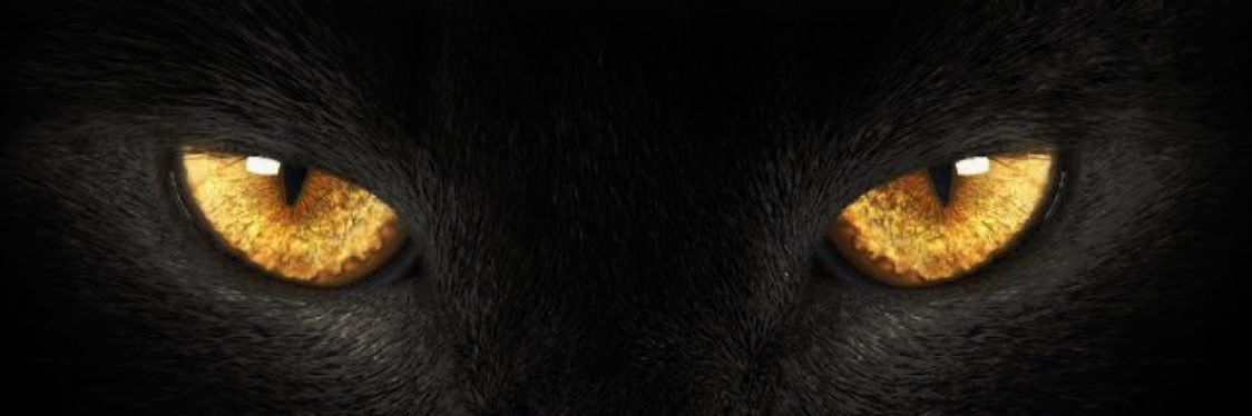 vanessamascarop's profile banner image