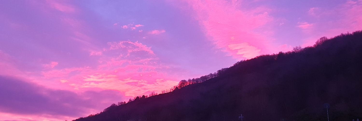 Lisa Cumming is going banner