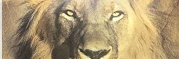 oliverrey's profile banner image