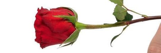 AzMaghrabi's profile banner image