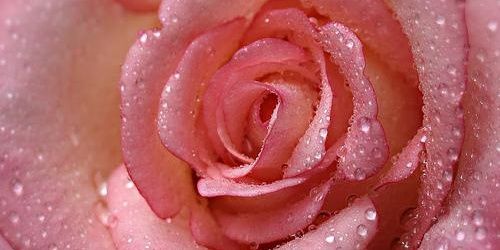 Elham_AM's profile banner image