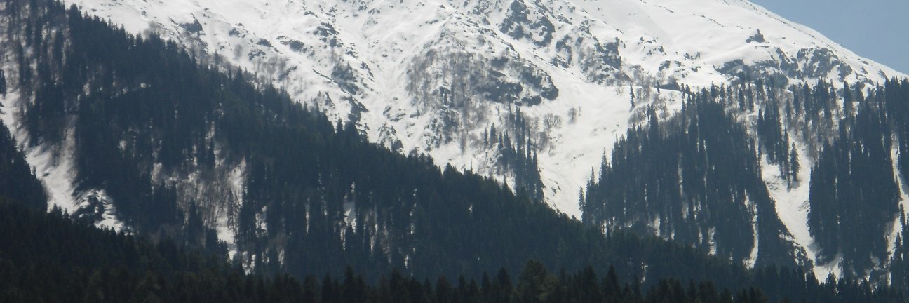 SyedTariqM1's profile banner image