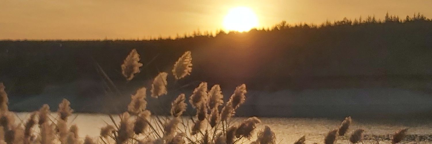 TZYMB's profile banner image