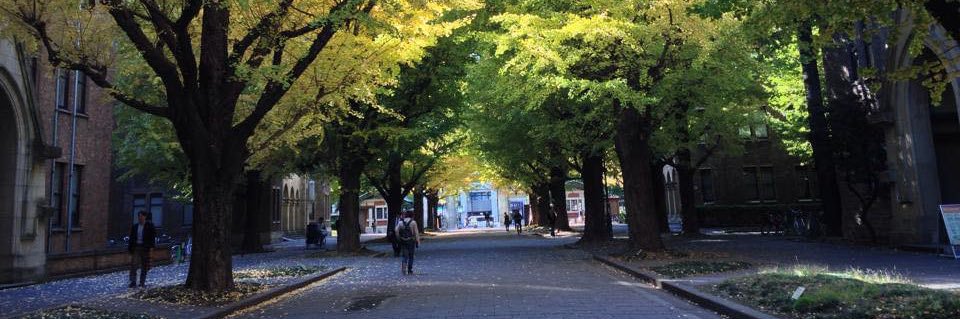 ていくん 🐱ྀི🐰ྀི💫୨ৎ🤍ྀི💛ྀི୨ৎ banner