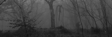 iLiedAvril's profile banner image