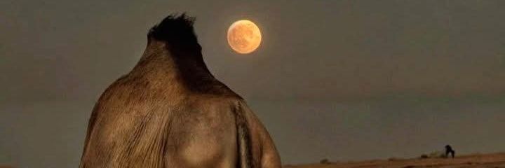SadamAg's profile banner image