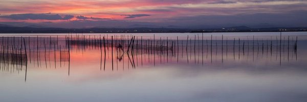 SaLcHi4 Profile Banner