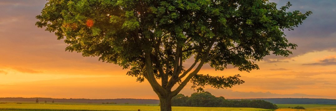 aa197636's profile banner image
