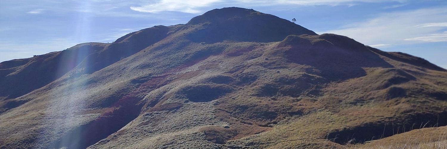 acaparaz28's profile banner image