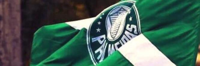 biadomenico's profile banner image