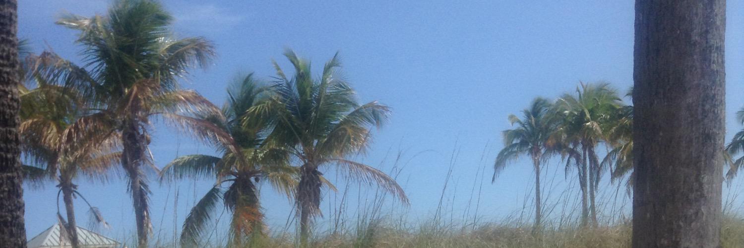 MattyG0007's profile banner image