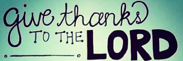 Willy Falcón banner