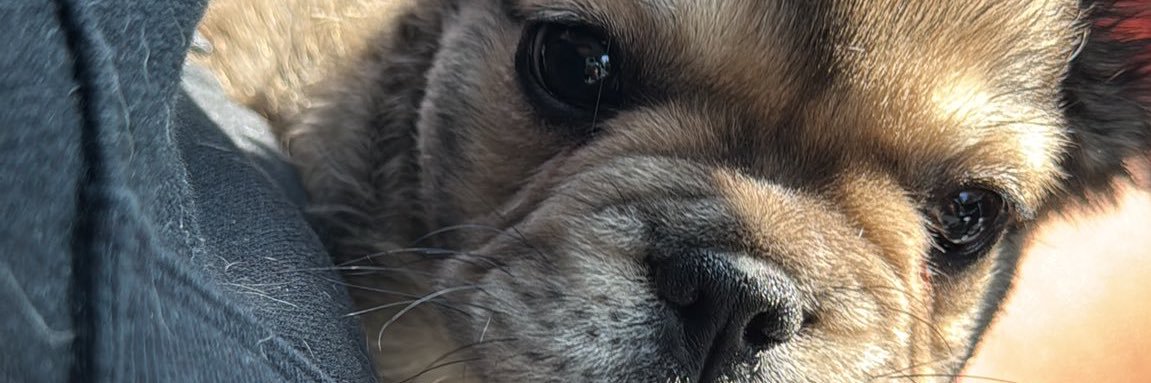 GILL iso Ariana ૮(˶ㅠ︿ㅠ)ა banner